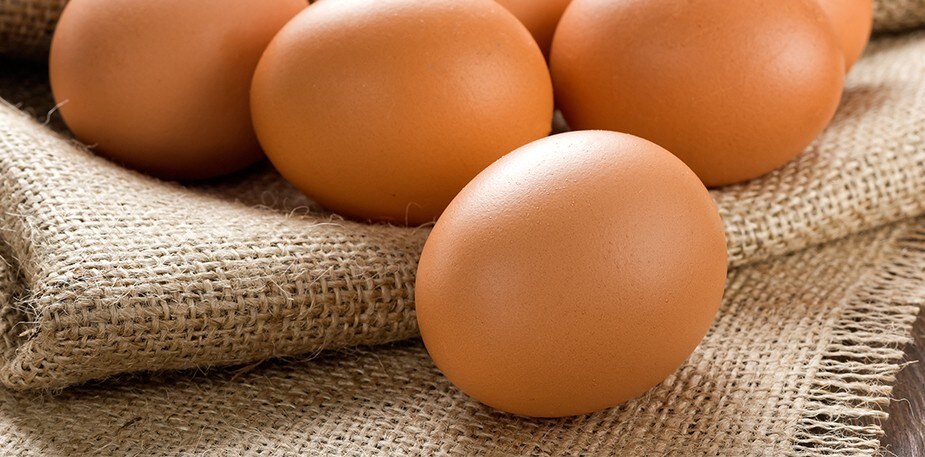 Understanding Food Allergens